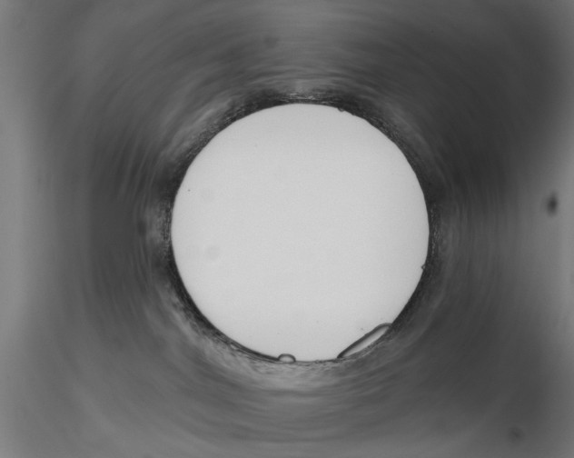 X0000115490044200912041025
