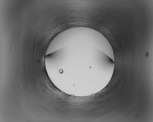 X0000115490045200912041025