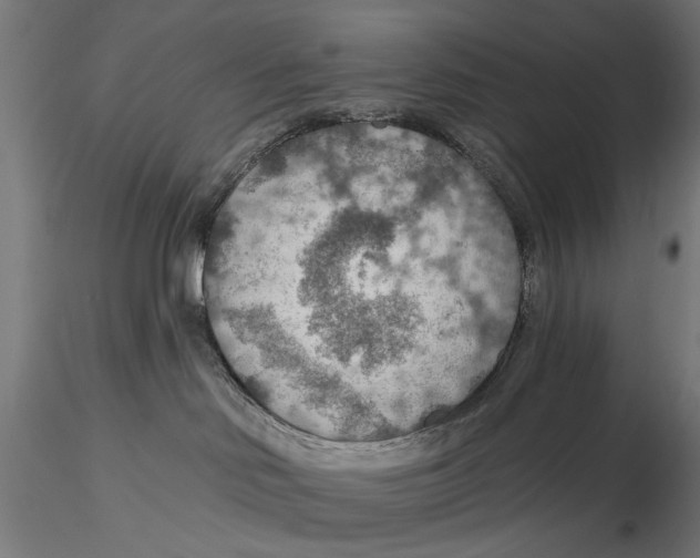 X0000115490046200912041025