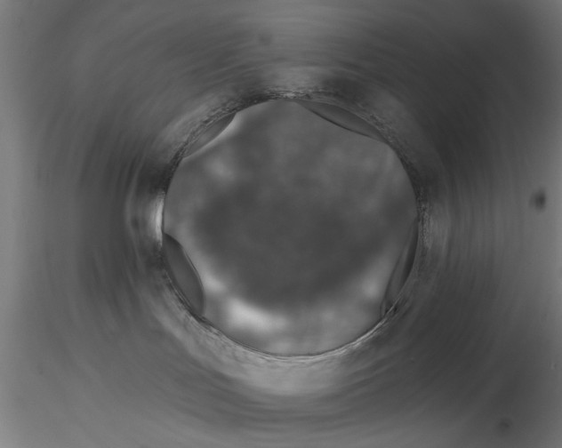 X0000115490047200912041025