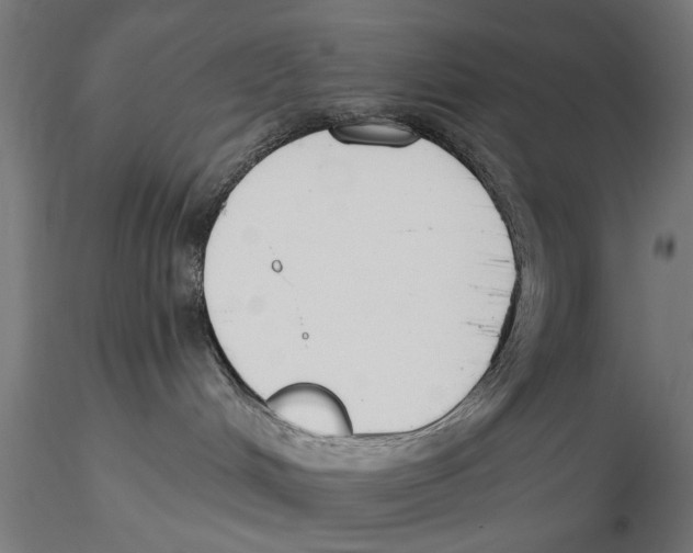 X0000115490048200912041025
