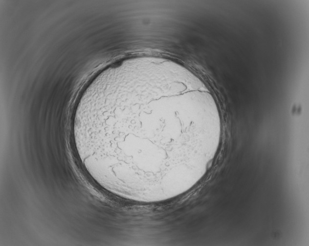 X0000115490049200912041025