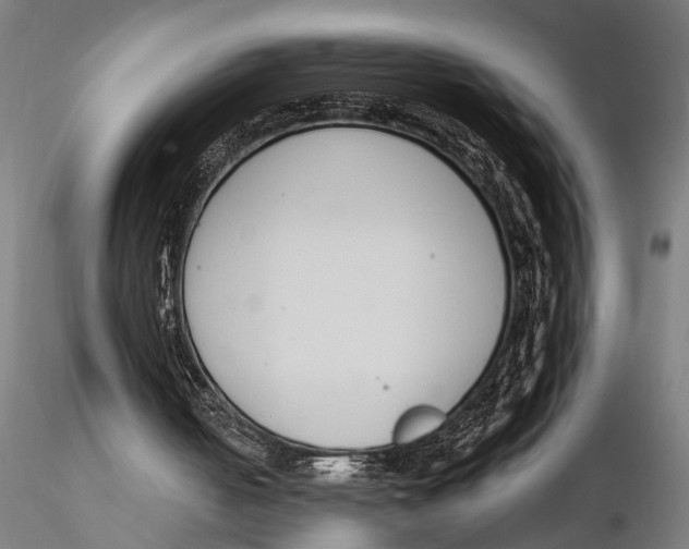 X0000115490050200912041025