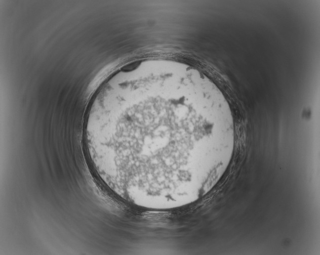 X0000115490051200912041025