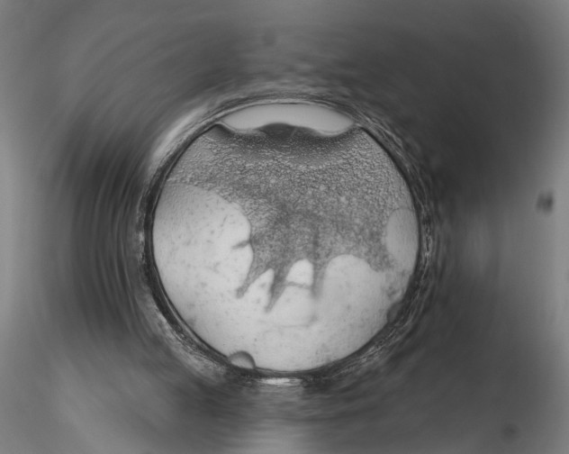 X0000115490053200912041025