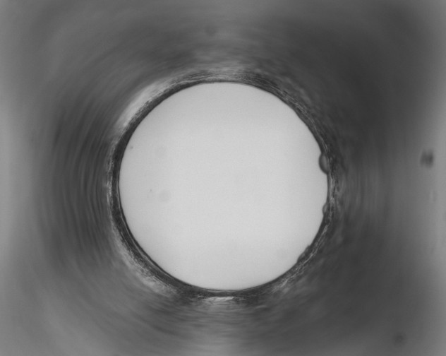 X0000115490054200912041025