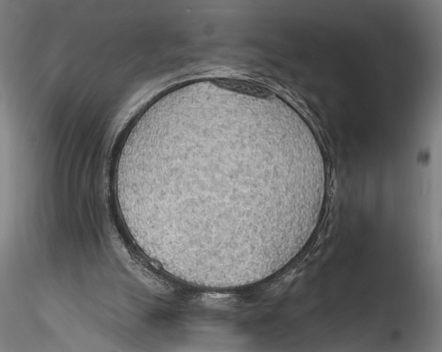 X0000115490055200912041025