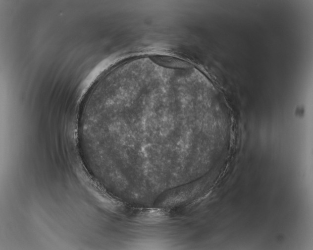 X0000115490056200912041025