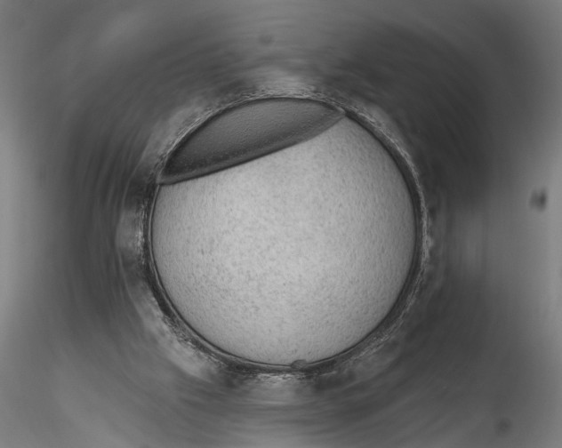 X0000115490057200912041025