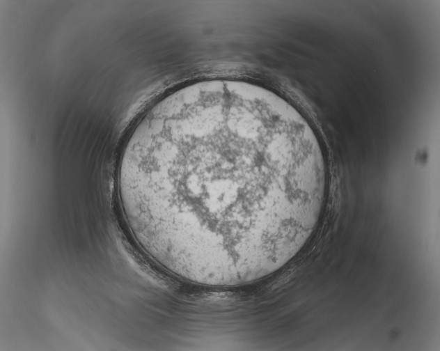 X0000115490059200912041025