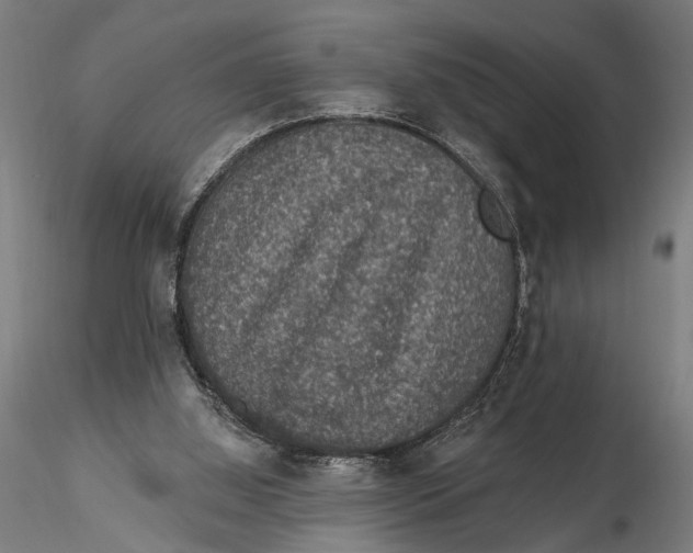 X0000115490060200912041025