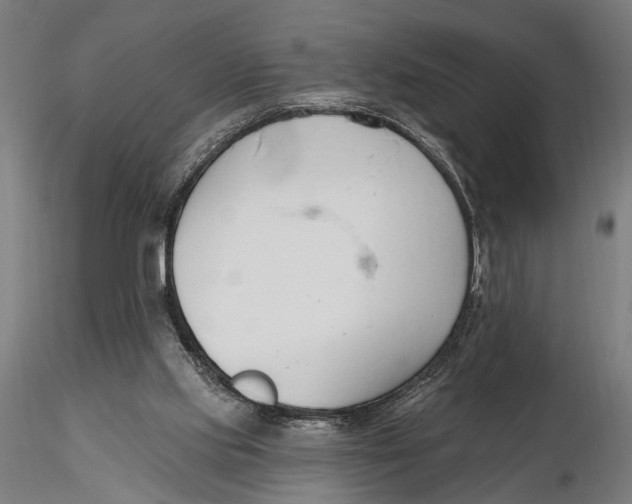X0000115490061200912041025