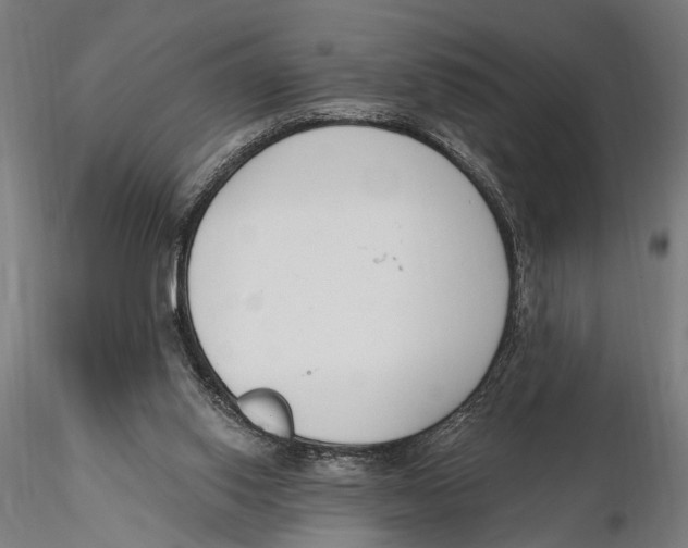 X0000115490062200912041025