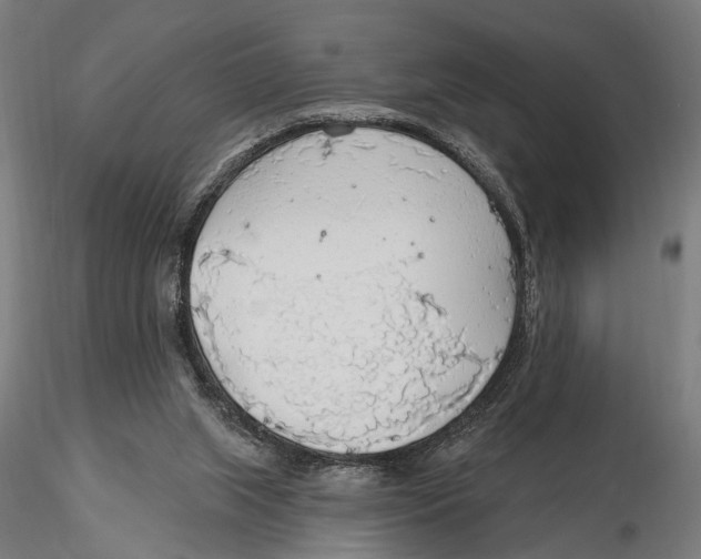 X0000115490063200912041025