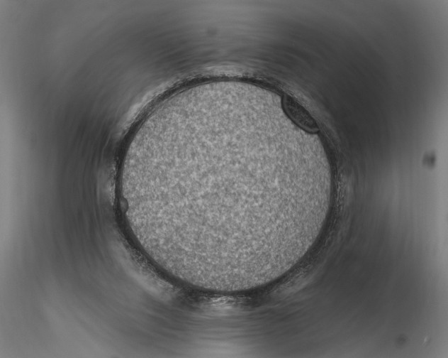 X0000115490064200912041025
