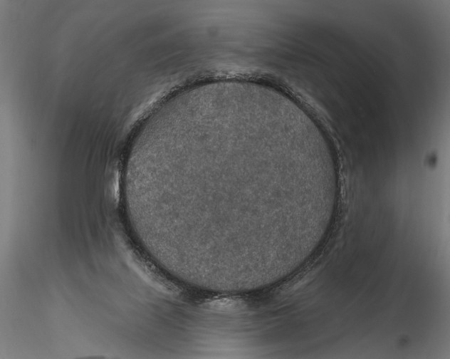 X0000115490067200912041025