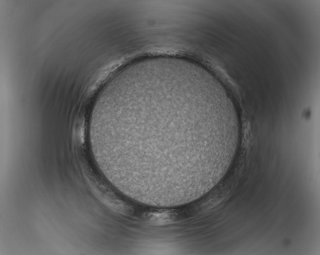 X0000115490068200912041025
