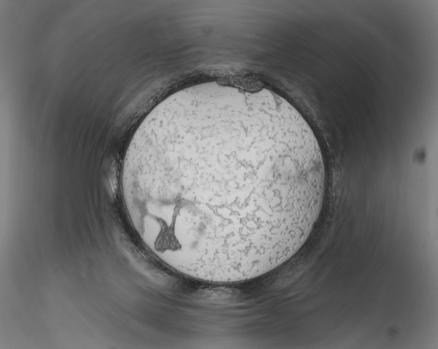 X0000115490069200912041025