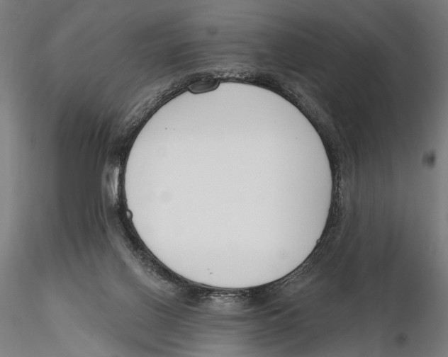 X0000115490070200912041025