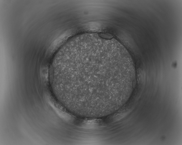 X0000115490072200912041025