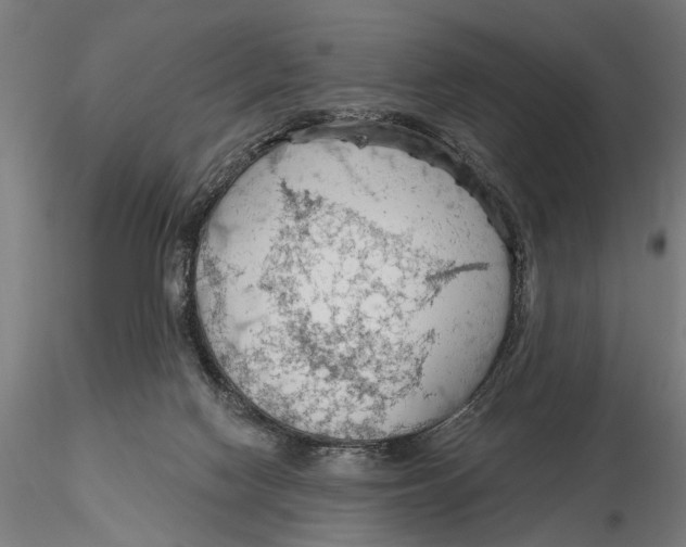 X0000115490074200912041025