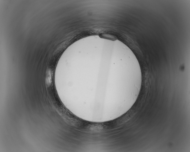X0000115490075200912041025