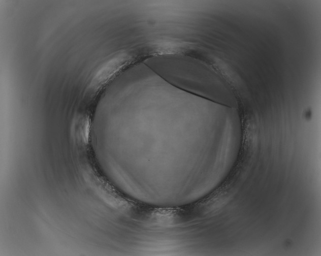 X0000115490076200912041025