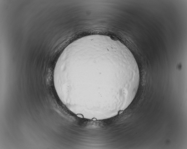 X0000115490077200912041025