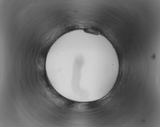 X0000115490078200912041025