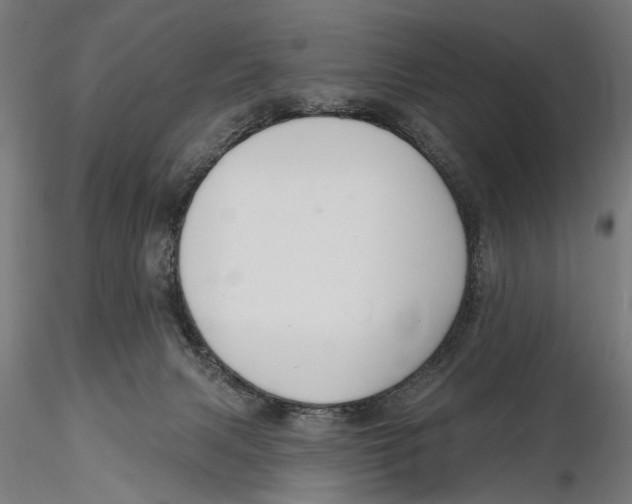X0000115490079200912041025