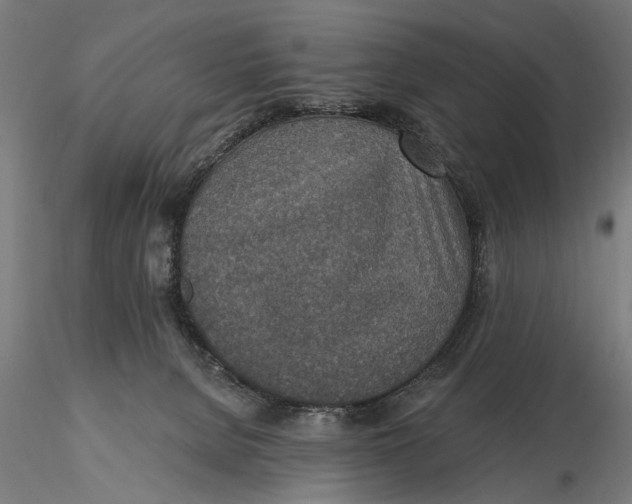X0000115490080200912041025
