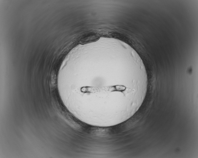 X0000115490081200912041025