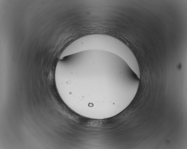 X0000115490084200912041025