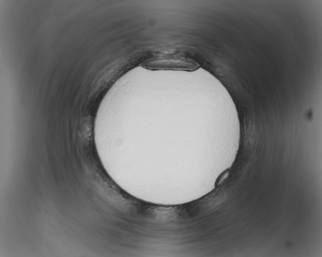 X0000115490085200912041025
