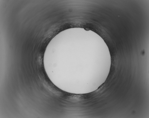X0000115490086200912041025