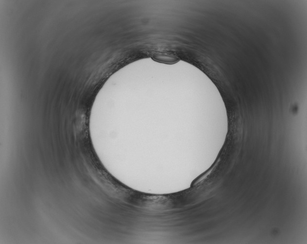 X0000115490087200912041025