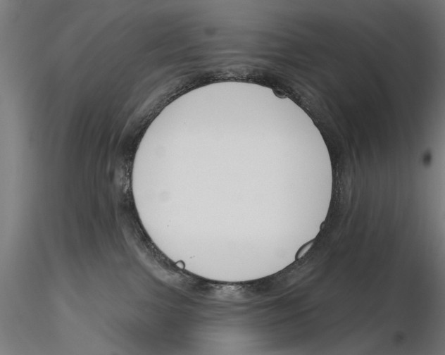 X0000115490091200912041025
