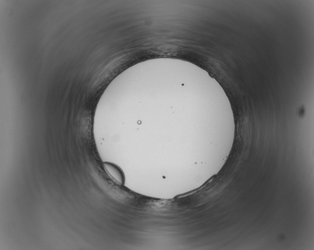 X0000115490092200912041025