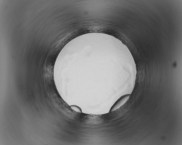 X0000115490093200912041025