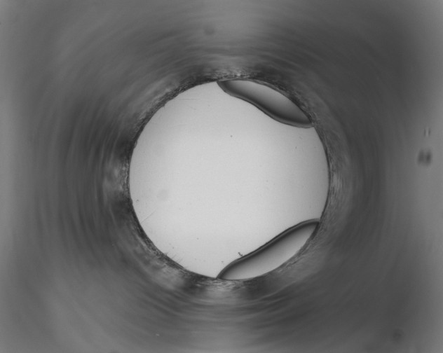 X0000115490096200912041025