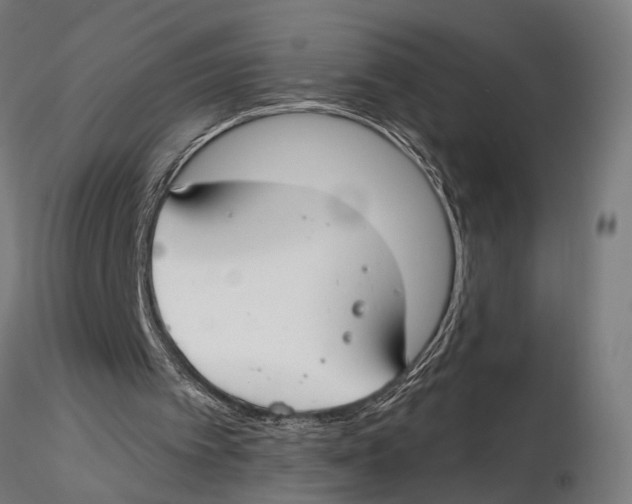 X0000115490097200912041025