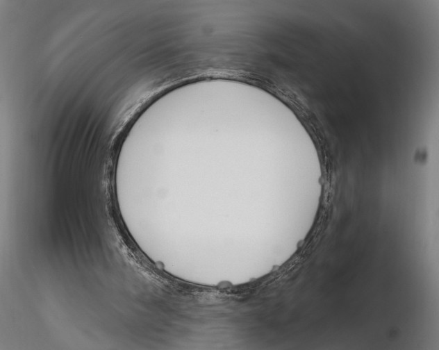 X0000115490098200912041025