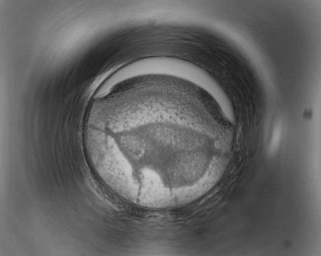 X0000115490099200912041024