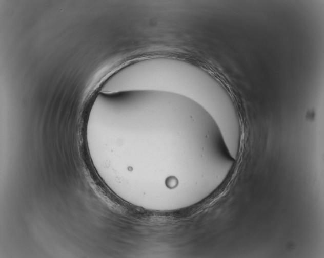 X0000115490101200912041024
