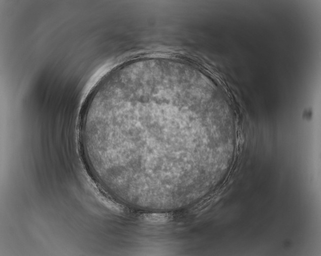 X0000115490102200912041024