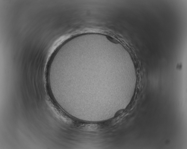 X0000115490104200912041024