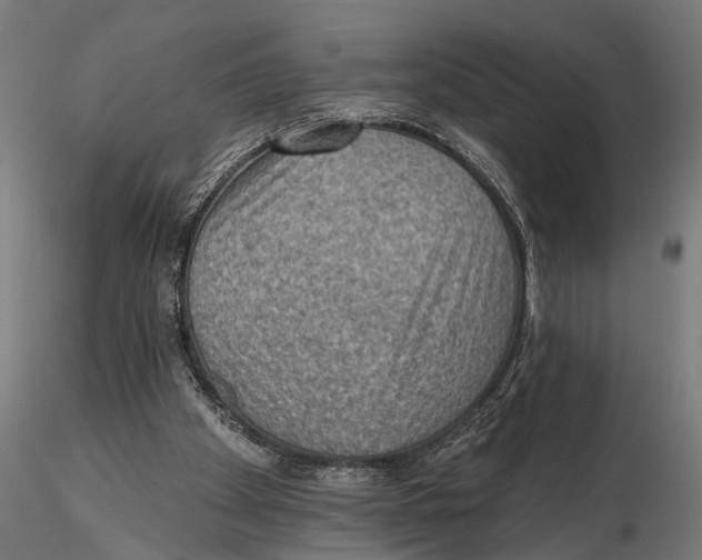 X0000115490105200912041024