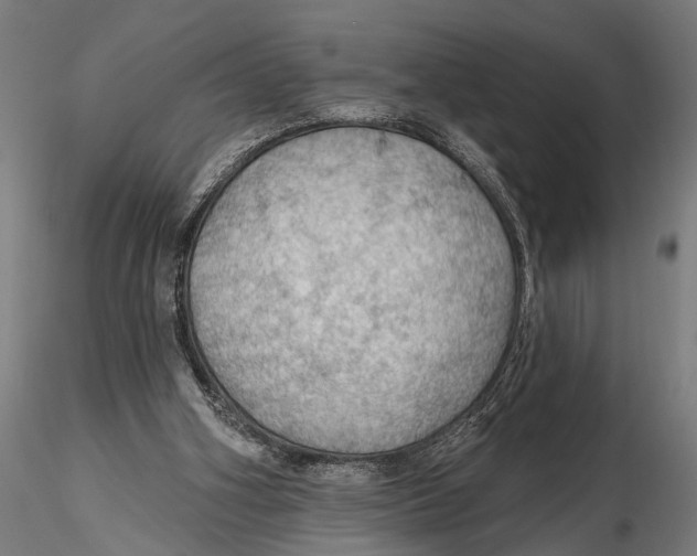 X0000115490106200912041024