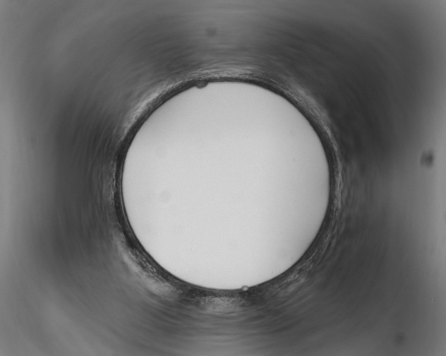 X0000115490107200912041024