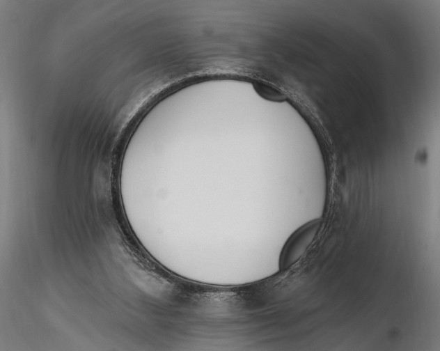 X0000115490108200912041024